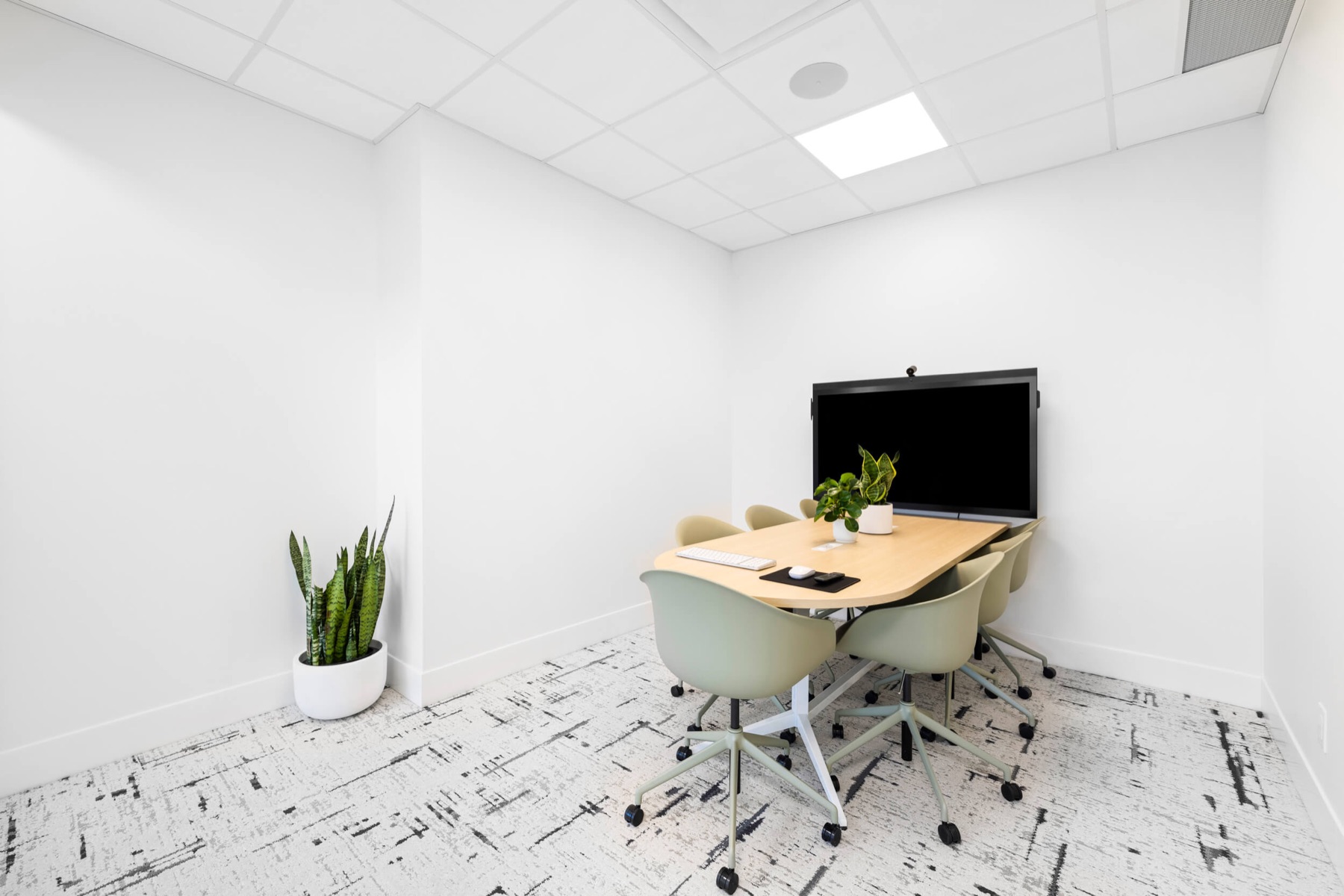 Private office used for the Electricutz Academy Private Office Session